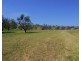 21 SCHADWELL Road, Blenheim QLD 4341