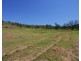 21 SCHADWELL Road, Blenheim QLD 4341