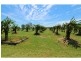 Morton Vale QLD 4343