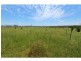 Morton Vale QLD 4343
