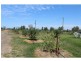Morton Vale QLD 4343