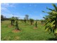 Morton Vale QLD 4343