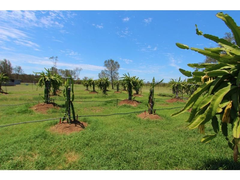Morton Vale QLD 4343