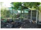 12 Hedges Court, Laidley Heights QLD 4341