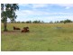 Carpendale QLD 4344