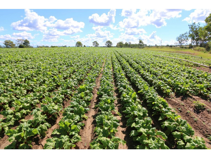 Clarendon QLD 4311