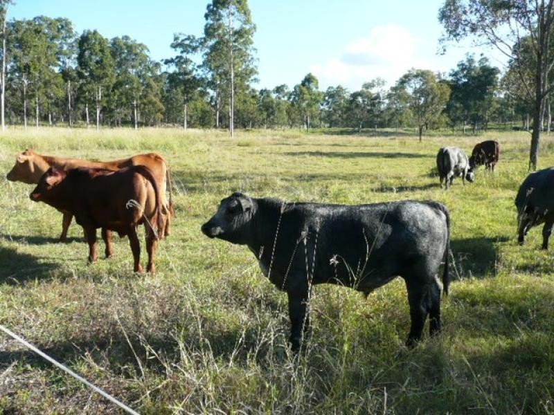 Forest Hill QLD 4342