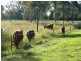Forest Hill QLD 4342