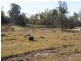 Morton Vale QLD 4343