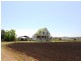 Laidley QLD 4341
