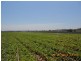 Laidley QLD 4341