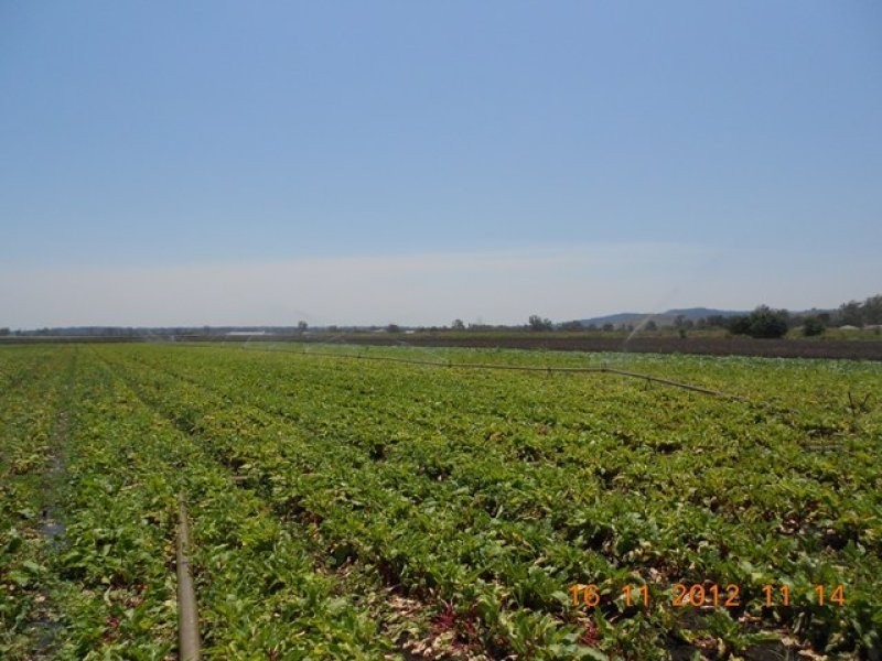 Laidley QLD 4341