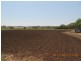 Laidley QLD 4341