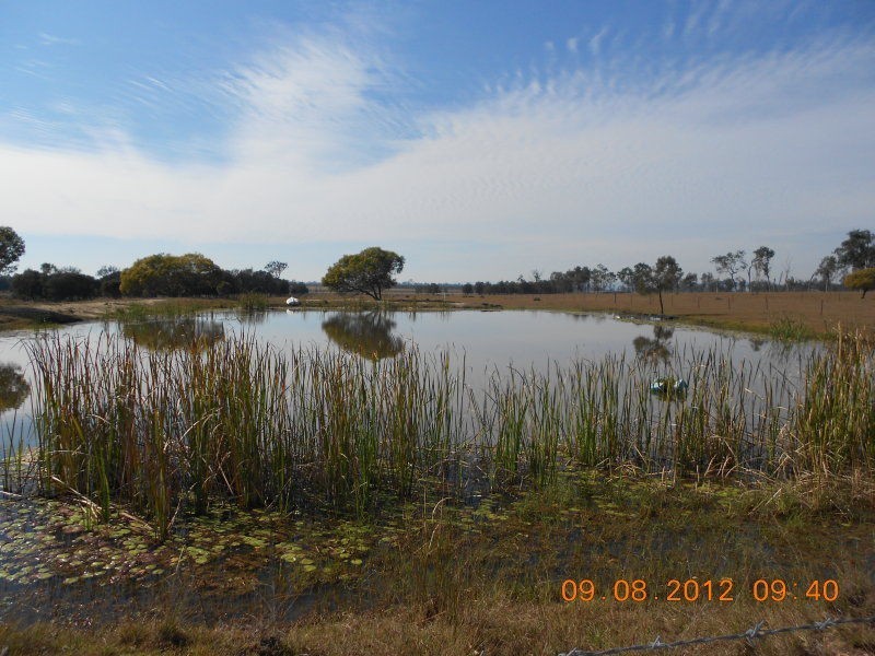 Lake Clarendon QLD 4343