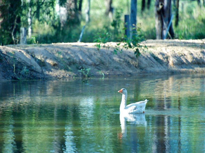 Glenore Grove QLD 4342