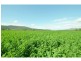 Mulgowie QLD 4341