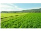 Mulgowie QLD 4341