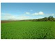 Mulgowie QLD 4341