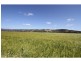 Mulgowie QLD 4341