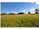Laidley Heights QLD 4341