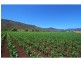 Townson QLD 4341