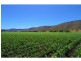 Townson QLD 4341