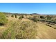 15 Stokes Ct, Summerholm QLD 4341