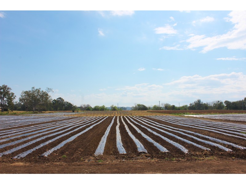 12 Amy Dr, Laidley Heights QLD 4341