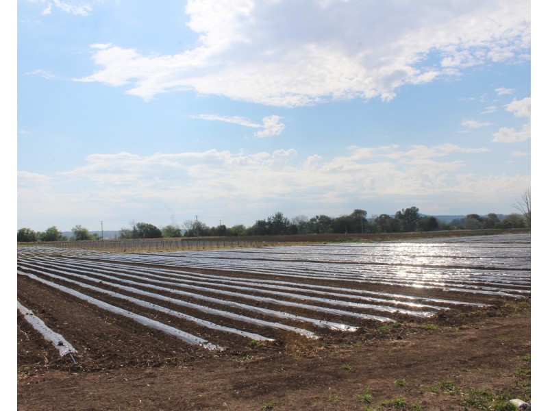 12 Amy Dr, Laidley Heights QLD 4341