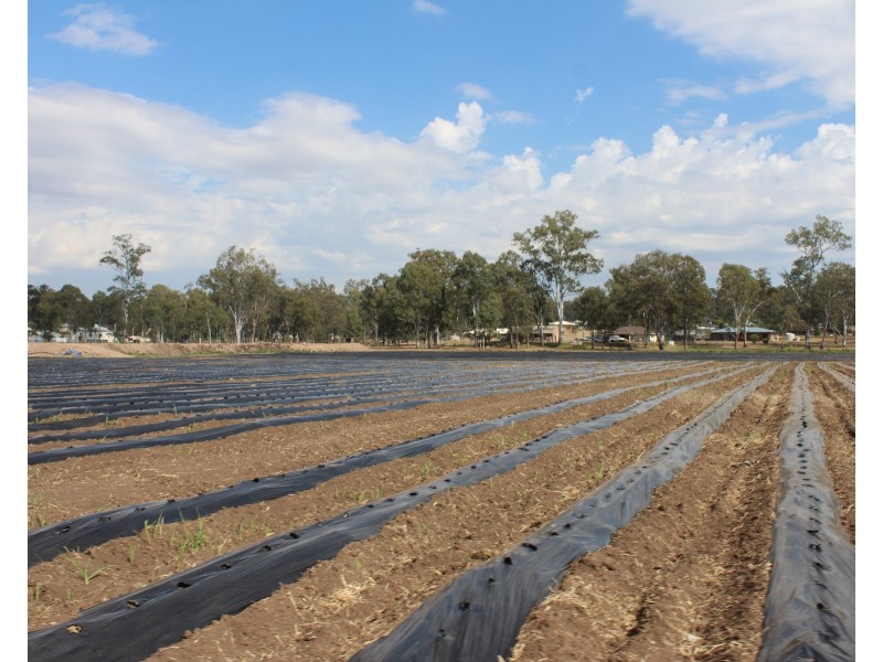 12 Amy Dr, Laidley Heights QLD 4341