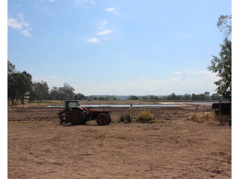 12 Amy Dr, Laidley Heights QLD 4341