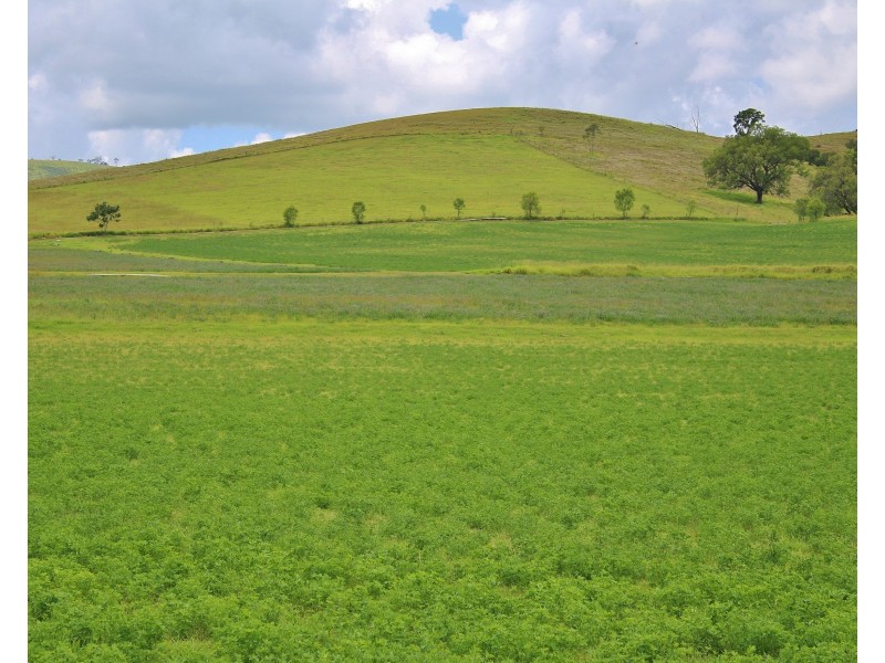 Caffey QLD 4343