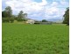Caffey QLD 4343