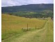 Caffey QLD 4343