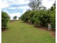 Caffey QLD 4343
