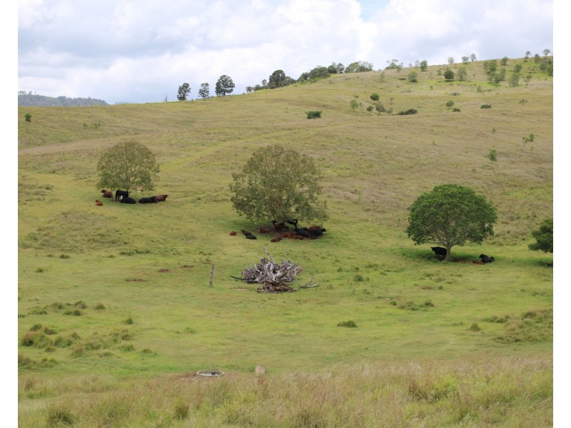 Lot 1 & 2 Caffey Connection Rd, Caffey QLD 4343