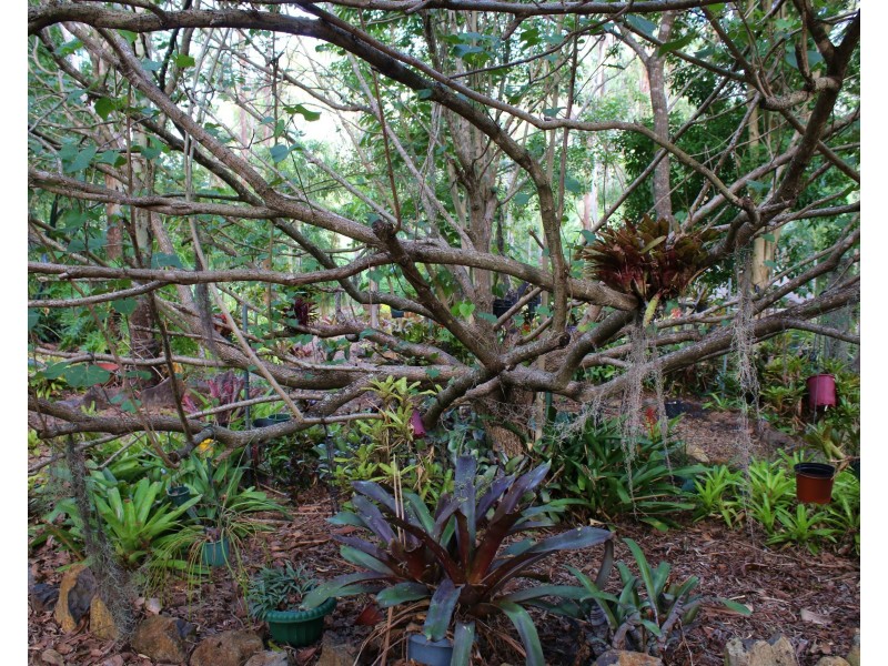 14 Plover Ct, Laidley Heights QLD 4341