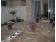 38 Albany Crescent, Oaklands Park SA 5046