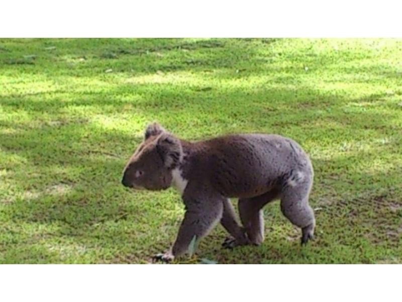 14 James Street, Vista SA 5091