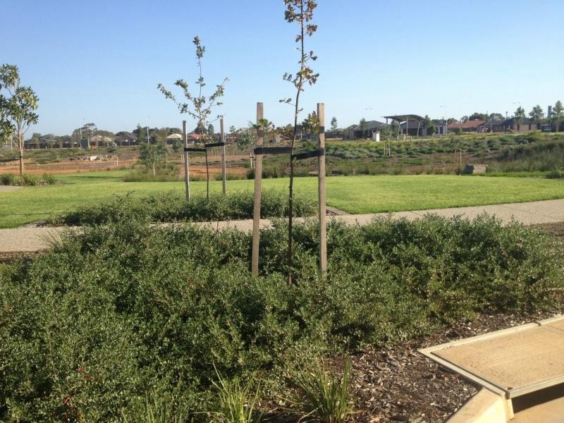 L266 Amaretti Way, Munno Para West SA 5115