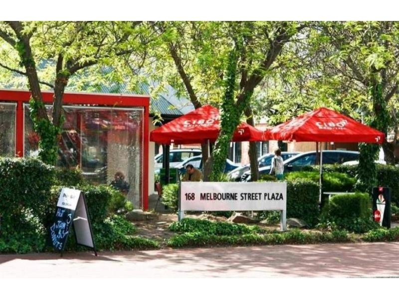 8/88 Sussex Street, North Adelaide SA 5006