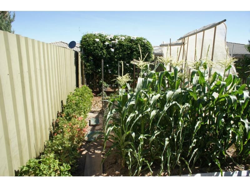 17 Lord Howe Avenue, Hillcrest SA 5086