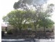 3 Alton Avenue, Gilles Plains SA 5086