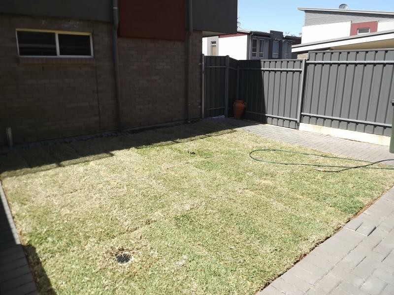 40 Bracken Avenue, Gilles Plains SA 5086