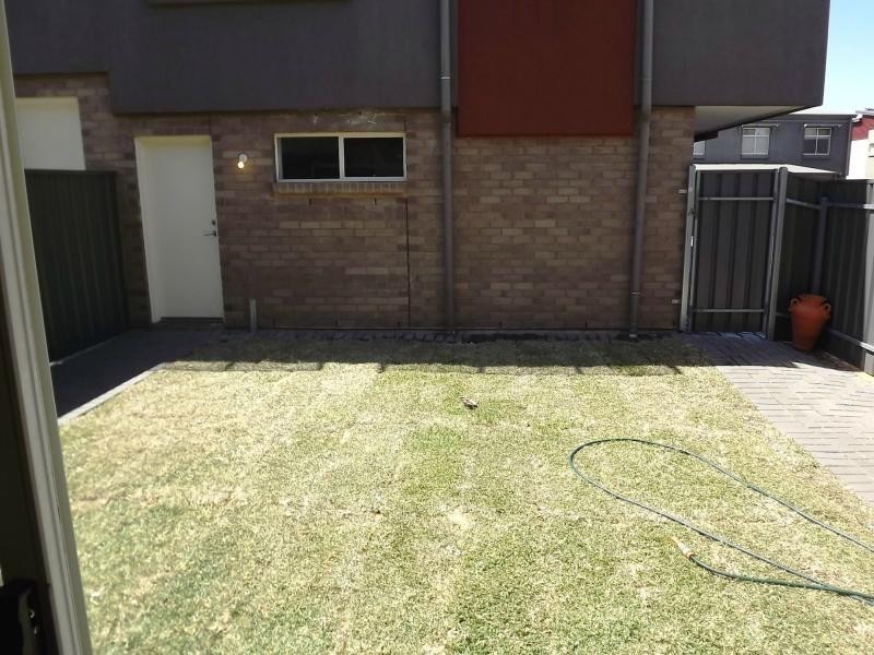 40 Bracken Avenue, Gilles Plains SA 5086