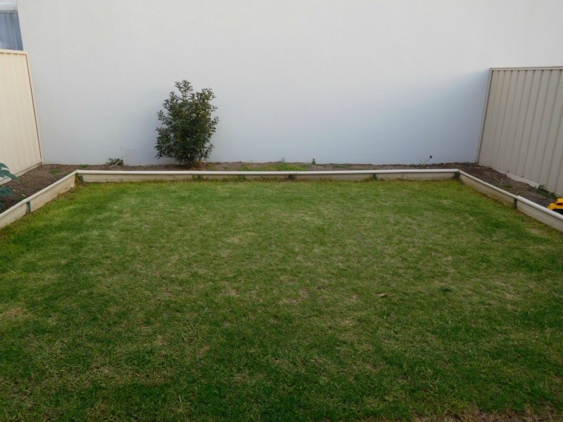 3D Craig Street St, Greenacres SA 5086