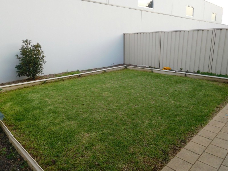 3D Craig Street St, Greenacres SA 5086