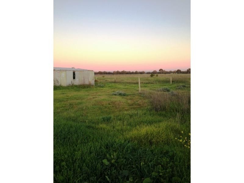 L62 Gawler Road, Lewiston SA 5501