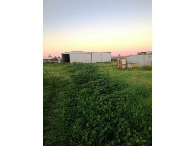 L62 Gawler Road, Lewiston SA 5501