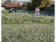 Launceston TAS 7250